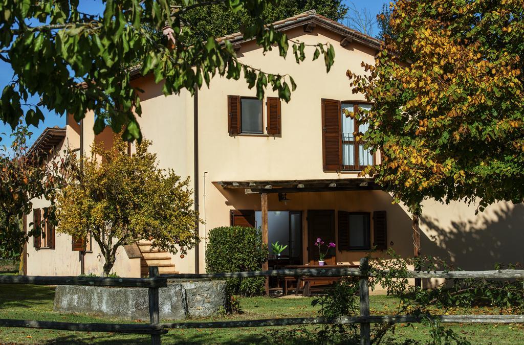 Agriturismo Olmo Bello Capodimonte Zewnętrze zdjęcie